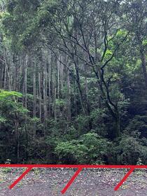 静岡県藤枝市岡部町桂島