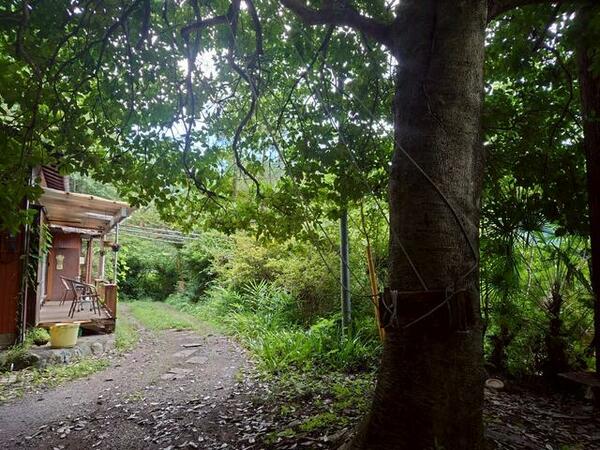 detached 埼玉県比企郡ときがわ町大字西平

地図を見る