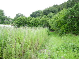 千葉県館山市水岡