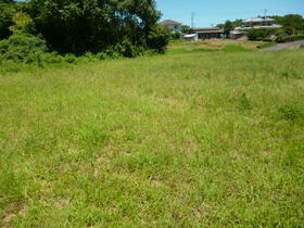 大分県速見郡日出町大字大神