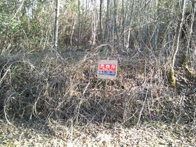 京都府船井郡京丹波町実勢向山