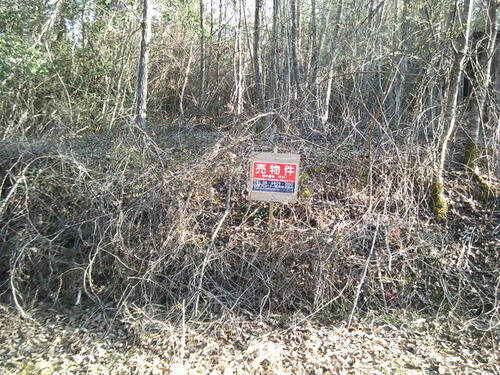 Land, 京都府 船井郡京丹波町
