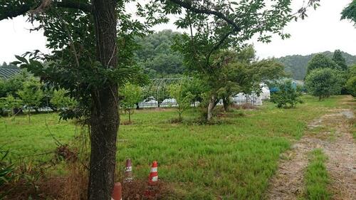 土地, 山形県 天童市