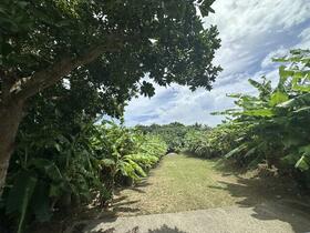 沖縄県石垣市字新川