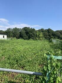 群馬県富岡市富岡