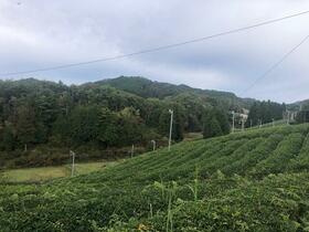 京都府相楽郡南山城村大字童仙房小字大岩