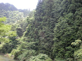 岐阜県加茂郡七宗町神渕