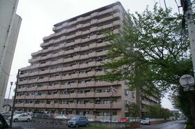 チサンマンション中央公園