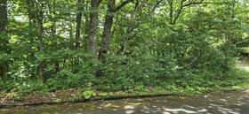 岐阜県高山市朝日町西洞