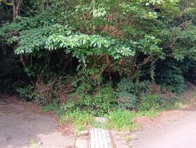 佐賀県唐津市相賀