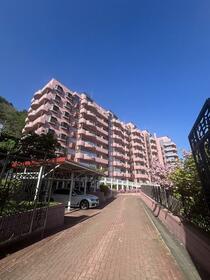 パームヒル藻岩