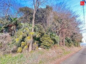 茨城県結城市大字大木