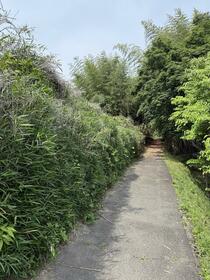 群馬県藤岡市藤岡