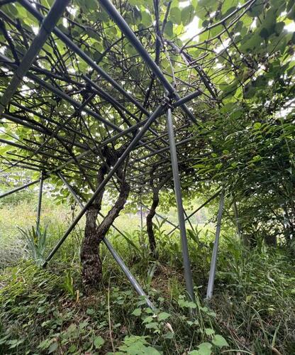 detached 奈良県奈良市月ヶ瀬石打