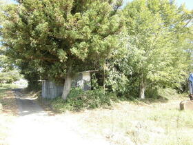 長野県東御市滋野乙