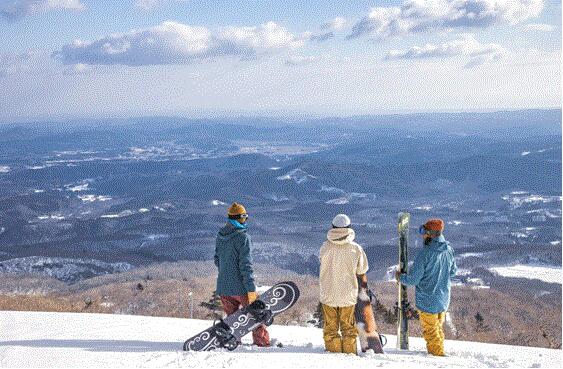 detached 宮城県仙台市青葉区栗生５丁目１８－１７ ＢＢＭビルⅡ－１１２