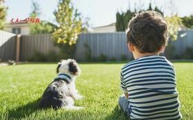 京都府京都市山科区西野山中鳥井町