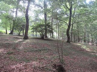 Land, Midori, Gunma