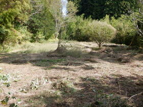 長野県長野市戸隠豊岡