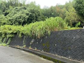 大分県大分市大字丹生