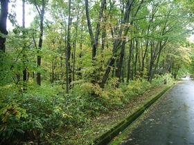 岩手県八幡平市松尾寄木第１地割