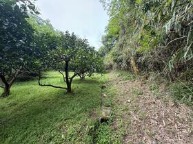 和歌山県紀の川市桃山町最上