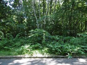 岩手県八幡平市松尾寄木第２地割