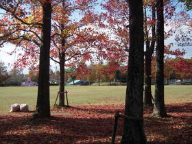 徳島県板野郡松茂町中喜来字群恵