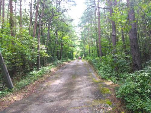 detached 群馬県吾妻郡嬬恋村大字鎌原