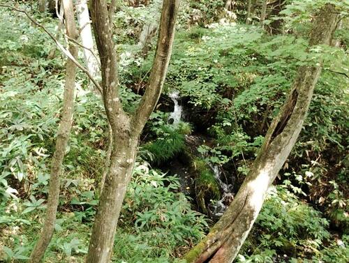 detached 岩手県八幡平市松尾寄木第２地割