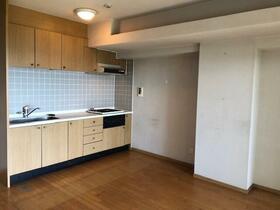 神奈川県足柄下郡真鶴町岩