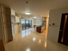 アルファステイツ国府