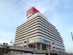 サンビーチ追浜