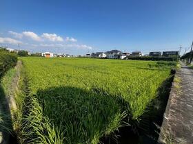 愛知県一宮市開明字乾土