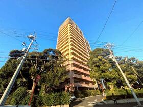 パークグランディエデナ　サザンタワー　１８階　ペット飼育可