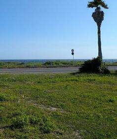 千葉県南房総市白浜町白浜