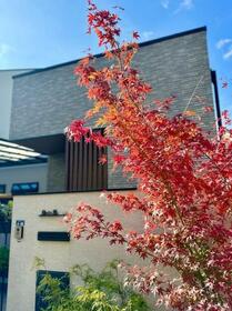 大阪府豊中市千里園３丁目