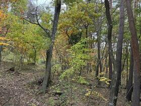 長野県小諸市大字大久保
