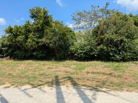 千葉県大網白里市柳橋