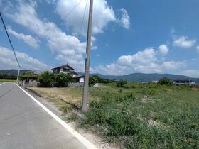 徳島県阿波市土成町土成字田中