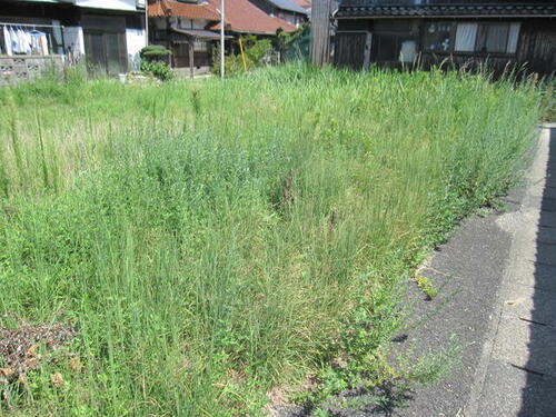 Land, Nagato, Yamaguchi