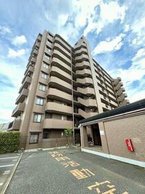 埼玉県朝霞市泉水３丁目