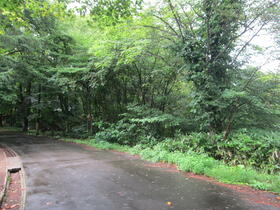 岩手県八幡平市松尾寄木第１地割