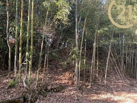 愛知県豊田市上脇町萩田