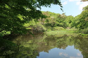 栃木県那須郡那須町大字湯本