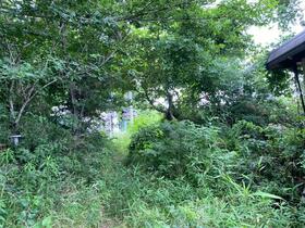 茨城県稲敷郡美浦村大字木原