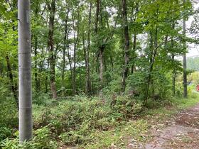 山梨県北杜市小淵沢町上笹尾