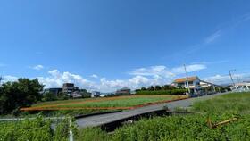 静岡県焼津市大島