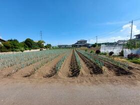 群馬県前橋市上青梨子町