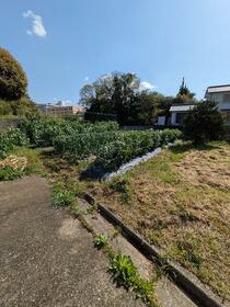 和歌山県岩出市西安上